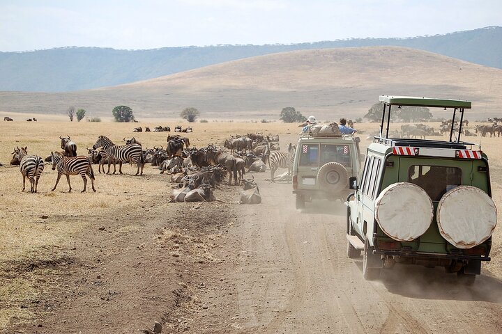 Zanzibar: 1 - Day Safari to Mikumi National Park by Plane