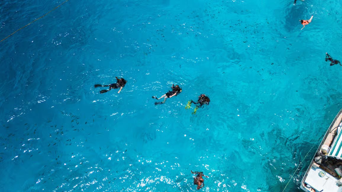 Zanzibar: 2 - Days Advanced PADI Open Water Diving Course with Lunch