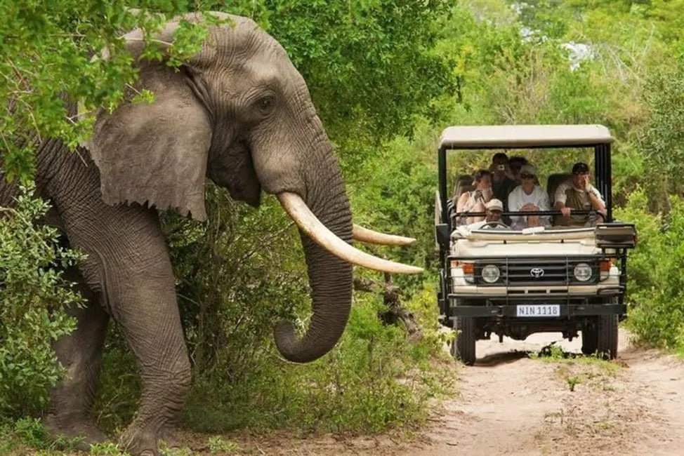 Zanzibar: 3 - Days Mikumi Safari and Big Five Adventure by Ferry