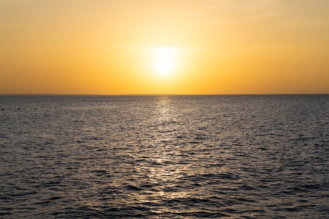 Zanzibar: 3 - Hours Sunset Dhow Cruise Trip