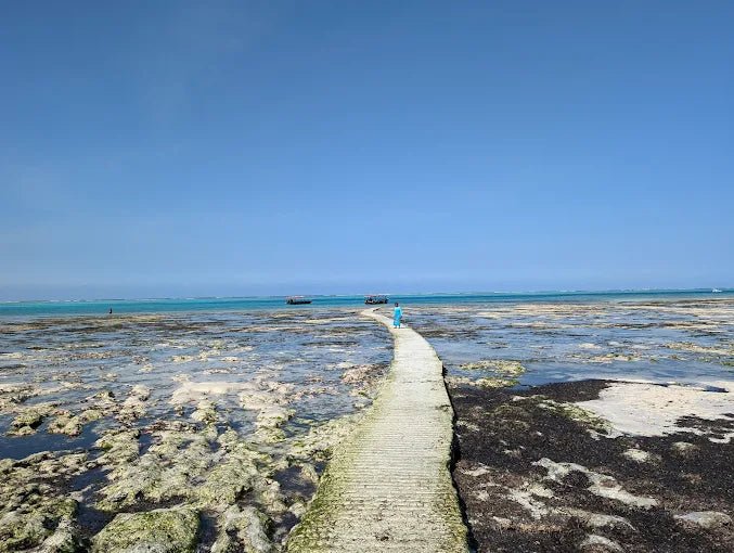 Zanzibar: Blue Lagoon Snorkeling and Jozani Forest Day Tour