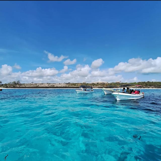 Zanzibar: Blue Lagoon, Starfish Garden, Rock Restaurant, and Maalum Cave Tour