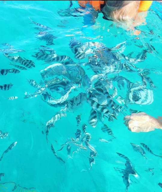 Zanzibar: Blue Lagoon, Starfish Garden, Rock Restaurant, and Maalum Cave Tour
