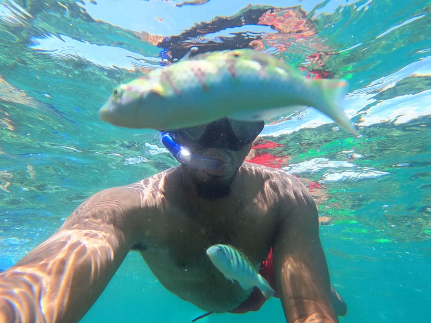 Zanzibar: Blue Lagoon, Starfish Garden, Rock Restaurant, and Maalum Cave Tour
