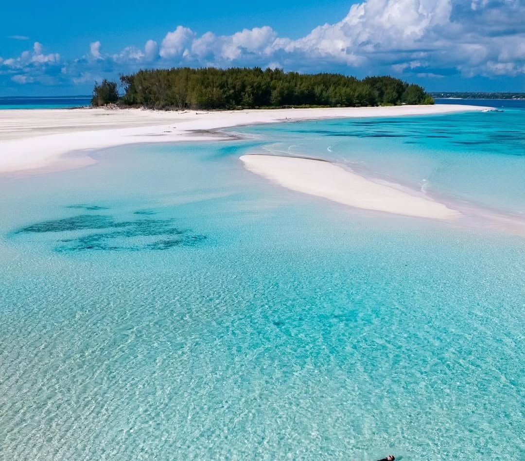 Zanzibar: Blue Lagoon Trip with Snorkeling and Kwale Island Lunch