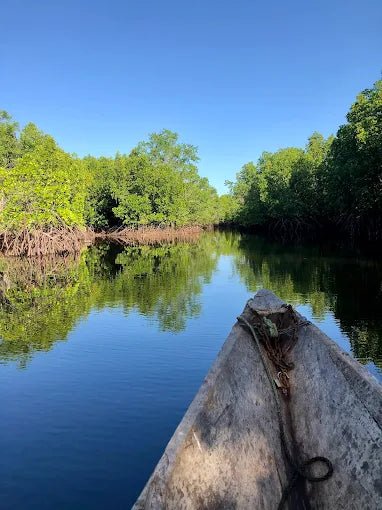 Zanzibar: Cultural Village and Nature Tour with Pangoni Caves and Canoeing