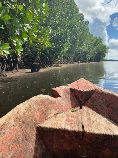 Zanzibar: Cultural Village and Nature Tour with Pangoni Caves and Canoeing