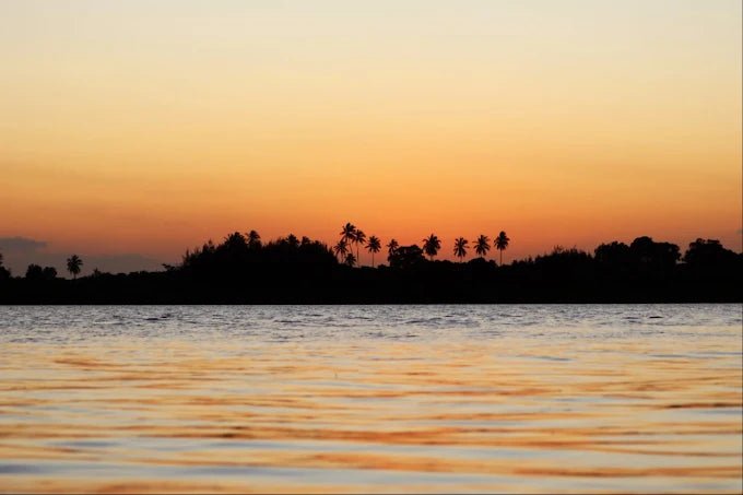 Zanzibar: Cultural Village and Nature Tour with Pangoni Caves and Canoeing