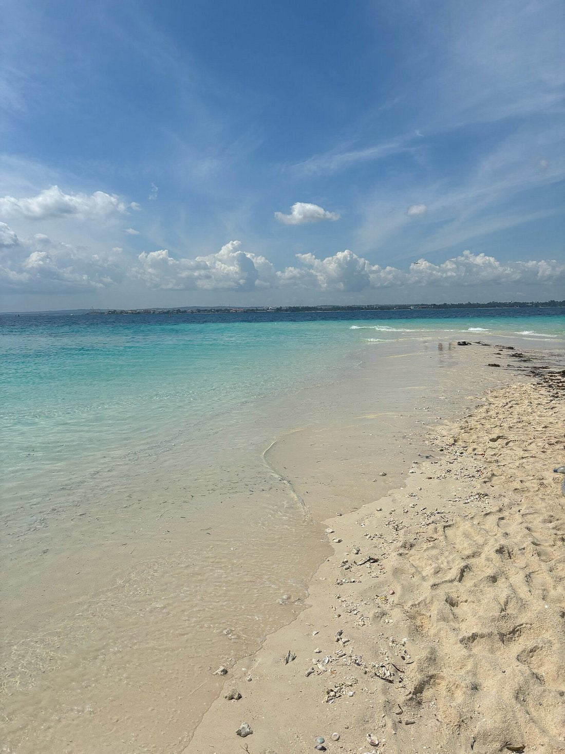 Zanzibar: Day Trip to Prison Island and Nakupenda Sandbank with Seafood Lunch