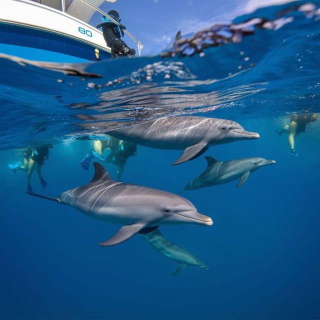 Zanzibar: Dolphin Encounter and Snorkeling Tour at Mnemba Island