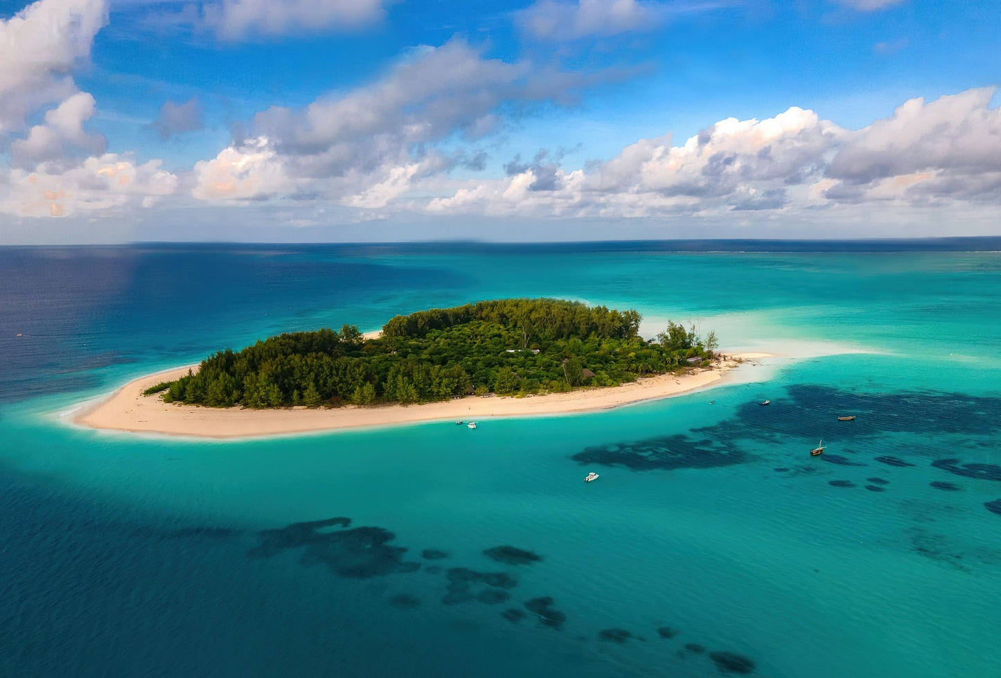 Zanzibar: Dolphin Encounter and Snorkeling Tour at Mnemba Island