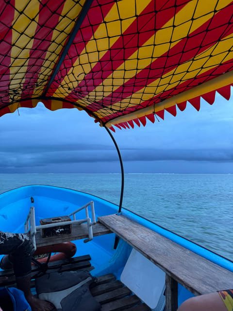 Zanzibar: Dolphin Swim and Snorkeling at Mnemba Atoll with Boat Ride