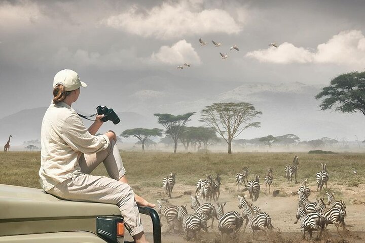 Zanzibar: Full - Day Mikumi National Park Safari by Flight with Game Drives