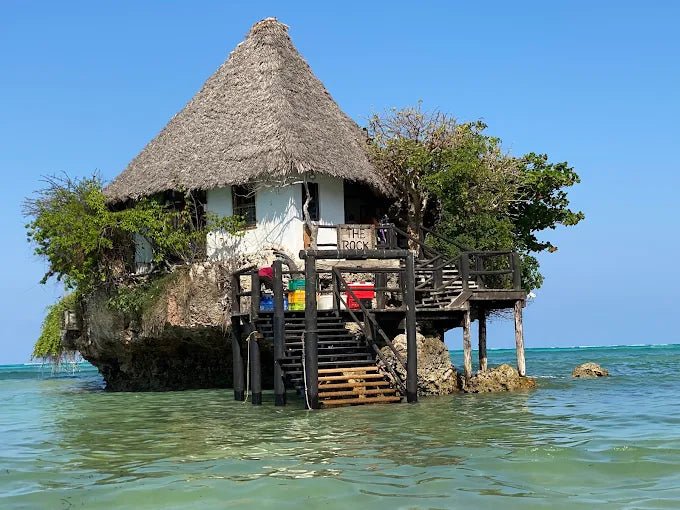 Zanzibar: Full - Day Mnemba Atoll, Dolphin Swim, Jozani Forest, and The Rock Restaurant Tour