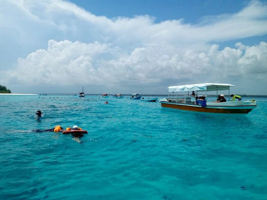 Zanzibar: Full - Day Mnemba Atoll, Dolphin Swim, Jozani Forest, and The Rock Restaurant Tour