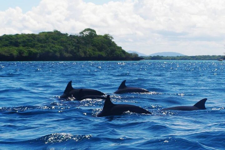 Zanzibar: Full - Day Mnemba Snorkeling, Nungwi and Kendwa Beach Tour