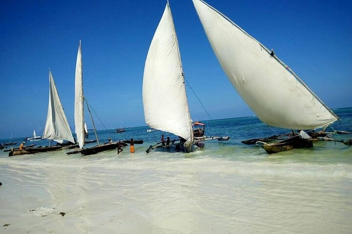 Zanzibar: Full - Day Mnemba Snorkeling, Nungwi and Kendwa Beach Tour