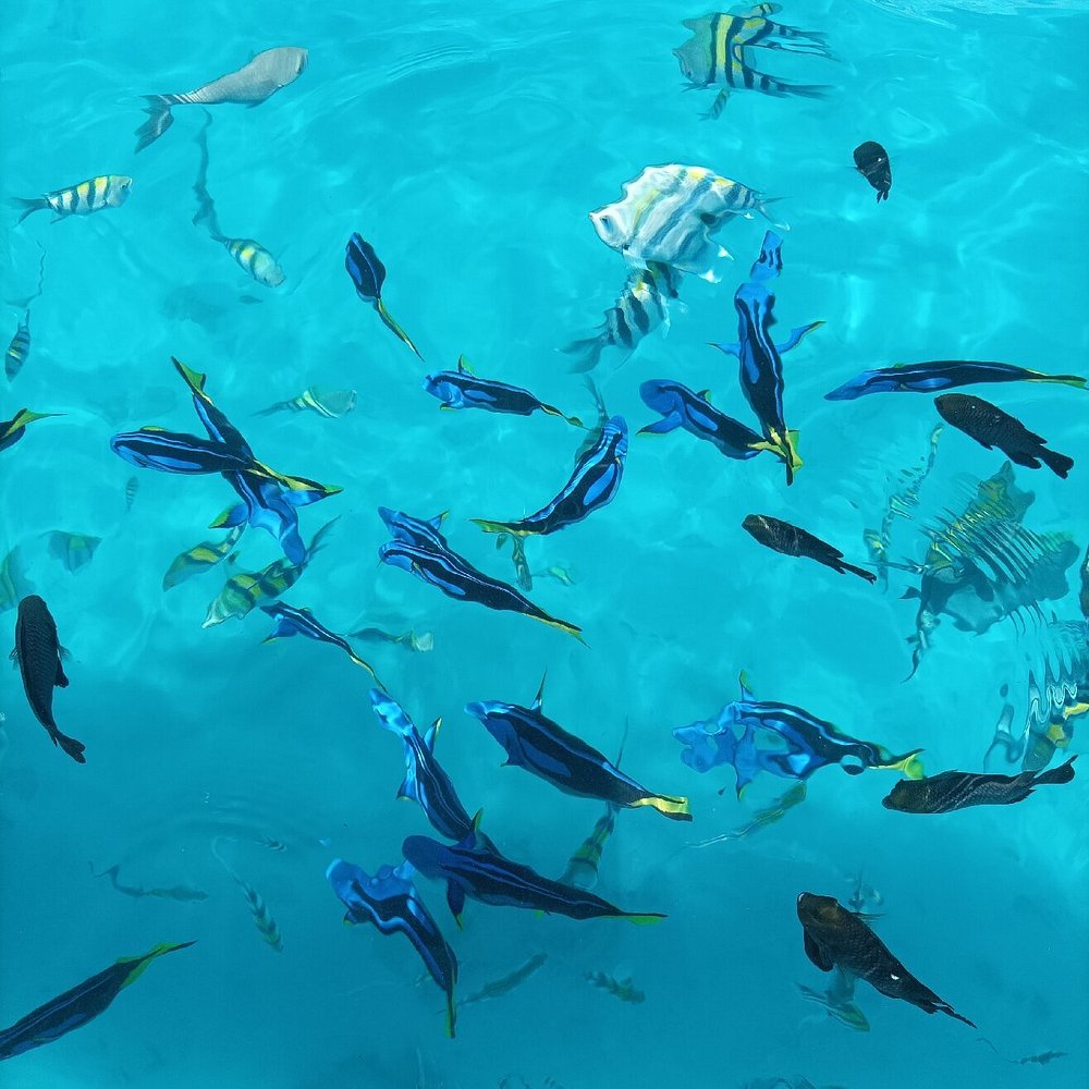 Zanzibar: Full - Day Mnemba Snorkeling, Nungwi and Kendwa Beach Tour