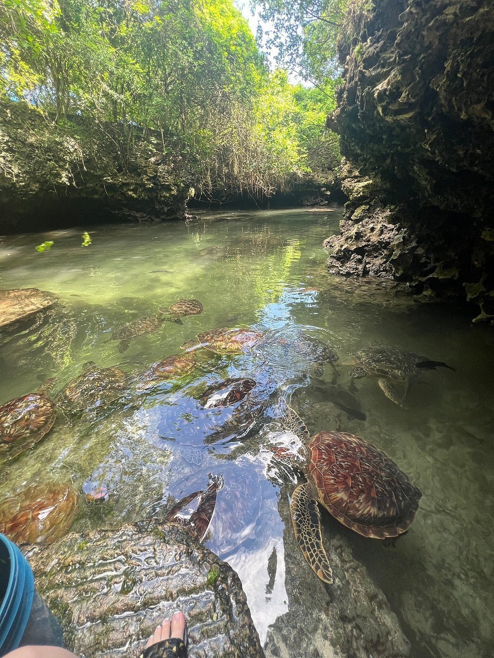 Zanzibar: Full - Day Mnemba Snorkeling, Nungwi and Kendwa Beach Tour