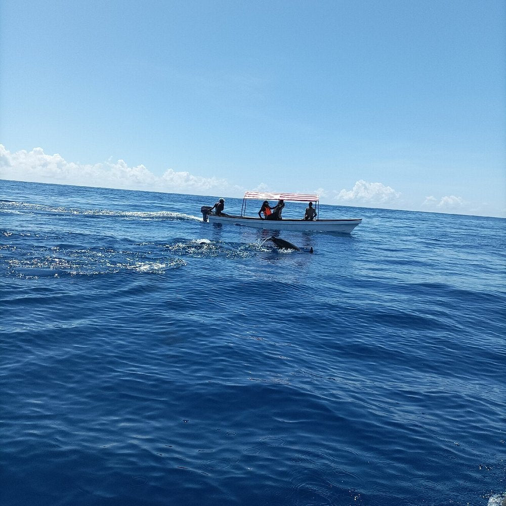 Zanzibar: Full - Day Mnemba Snorkeling, Nungwi and Kendwa Beach Tour