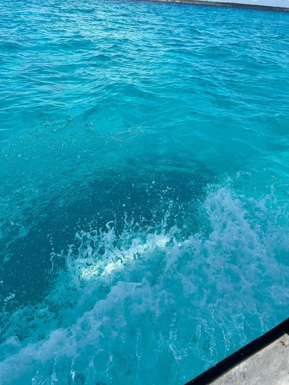 Zanzibar: Full - Day Mnemba Snorkeling, Nungwi and Kendwa Beach Tour