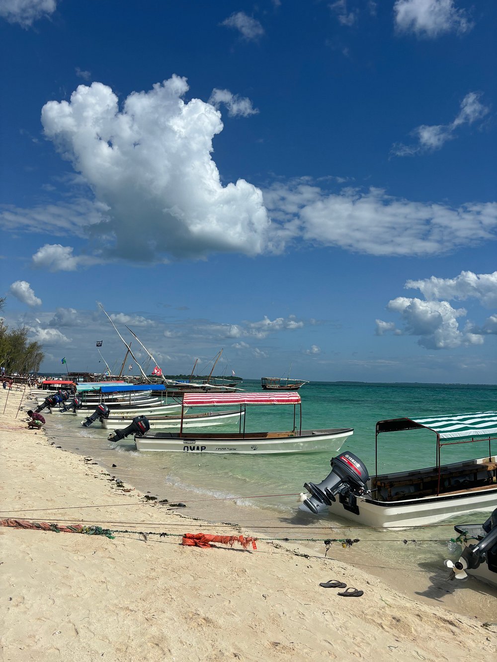 Zanzibar: Full - Day Mnemba Snorkeling, Nungwi and Kendwa Beach Tour