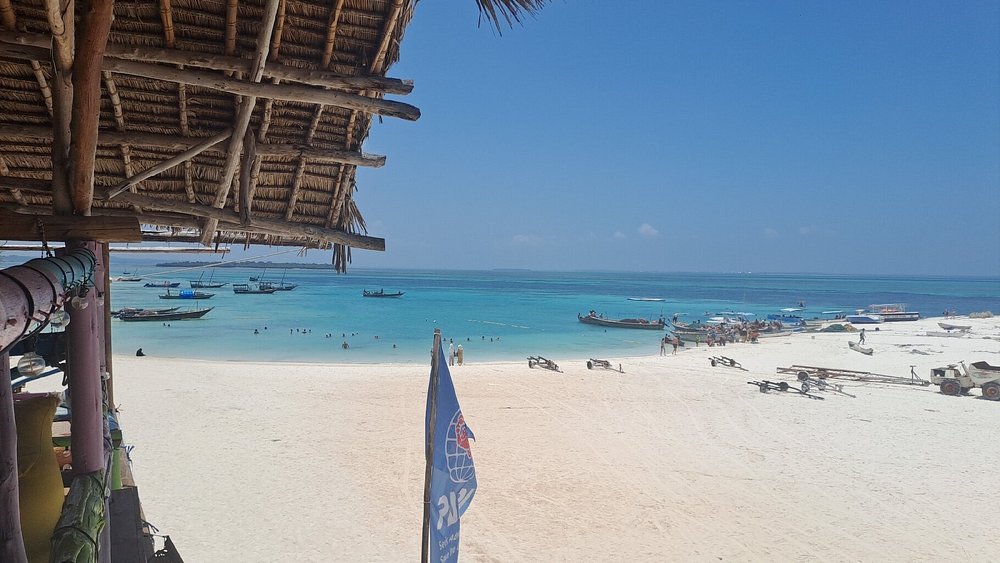 Zanzibar: Full - Day Mnemba Snorkeling, Nungwi and Kendwa Beach Tour