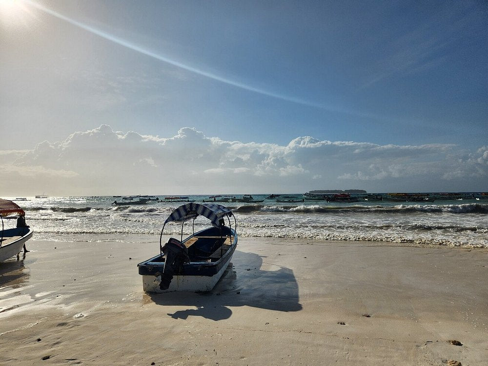Zanzibar: Full - Day Mnemba Snorkeling, Nungwi and Kendwa Beach Tour