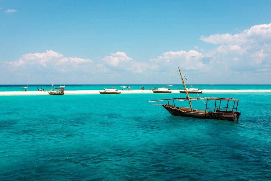 Zanzibar: Full - Day Prison Island Visit and Nakupenda Sandbank with BBQ Lunch