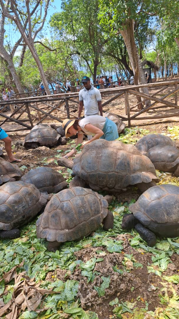 Zanzibar: Full - Day Prison Island Visit and Nakupenda Sandbank with BBQ Lunch