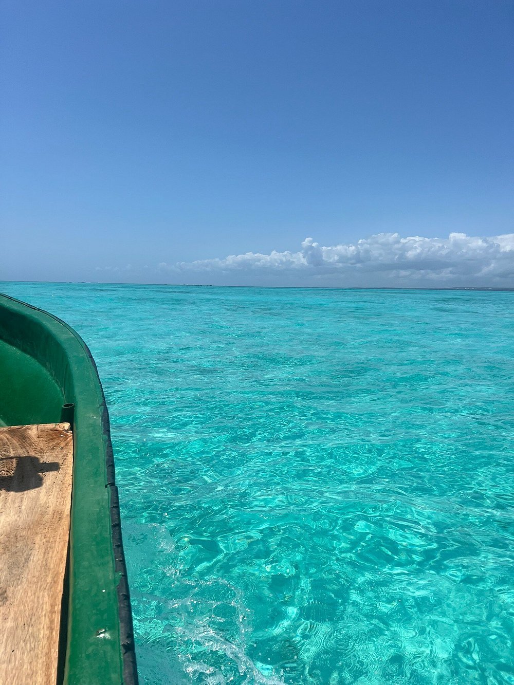 Zanzibar: Full - Day Spice Farm, Prison Island and Stone Town Highlights Tour