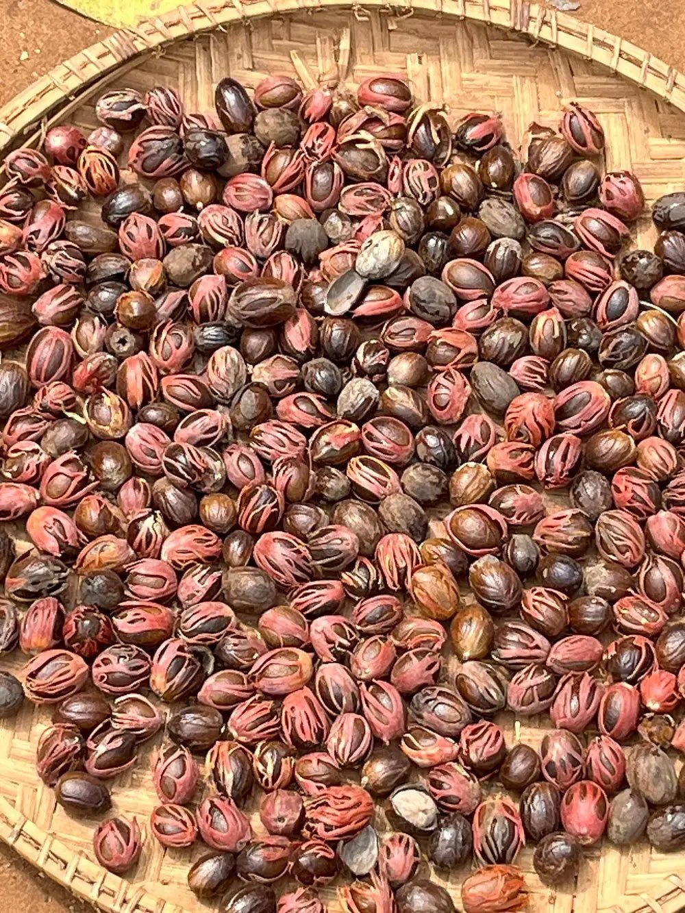 Zanzibar: Full - Day Spice Farm, Prison Island and Stone Town Highlights Tour