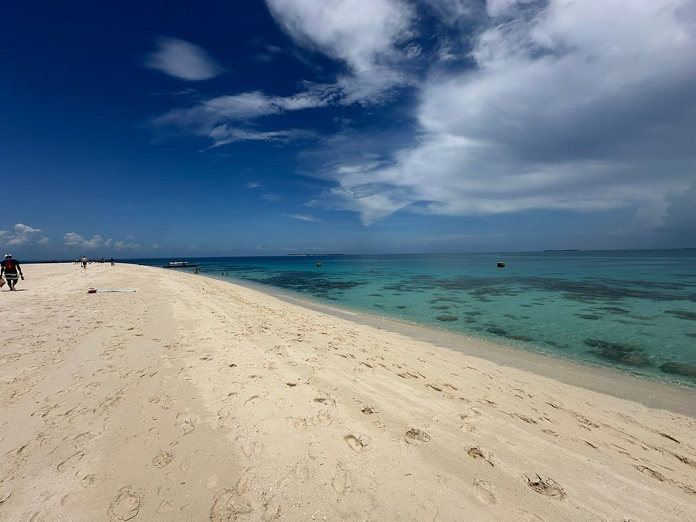 Zanzibar: Full - Day Spice Farm, Prison Island and Stone Town Highlights Tour