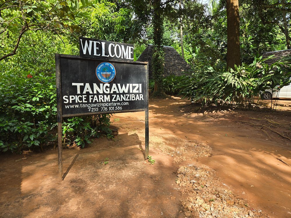 Zanzibar: Full - Day Spice Farm, Prison Island and Stone Town Highlights Tour