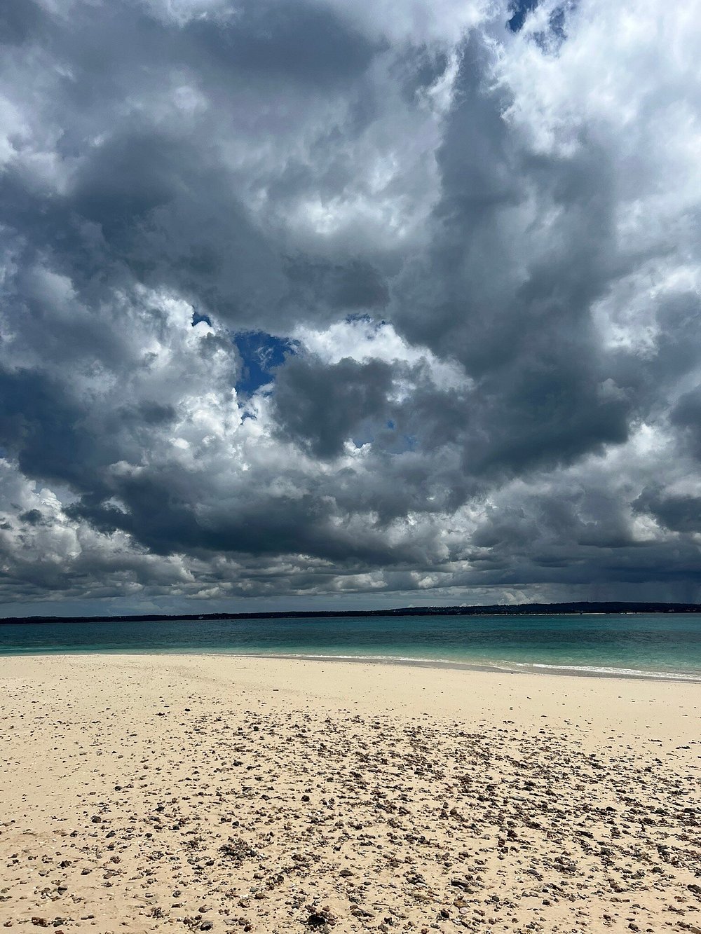 Zanzibar: Full - Day Spice Farm, Prison Island and Stone Town Highlights Tour