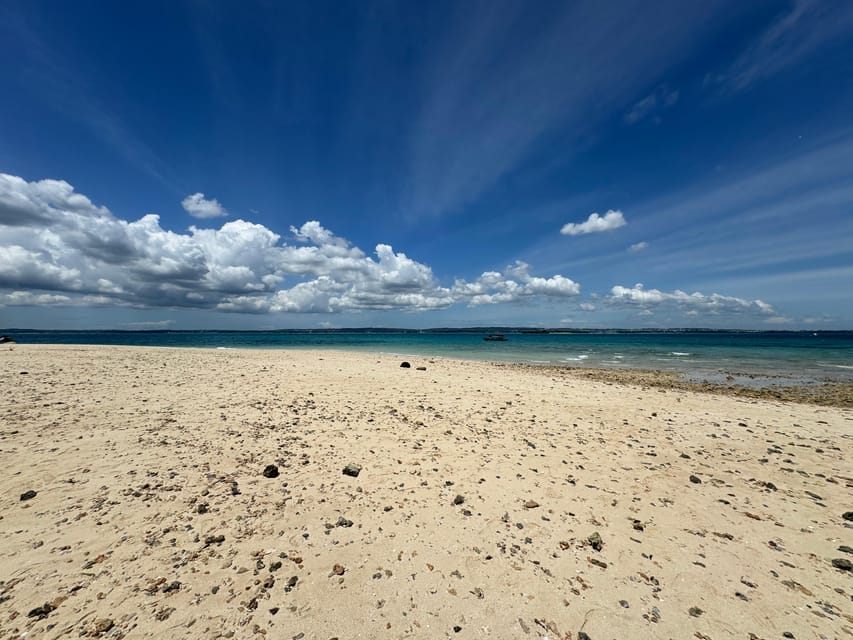 Zanzibar: Full - Day Spice Farm, Stone Town and Prison Island Tortoise Private Tour