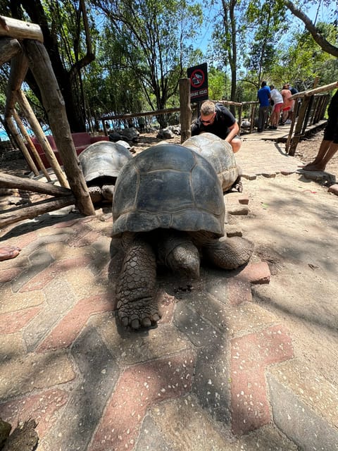 Zanzibar: Full - Day Spice Farm, Stone Town and Prison Island Tortoise Private Tour