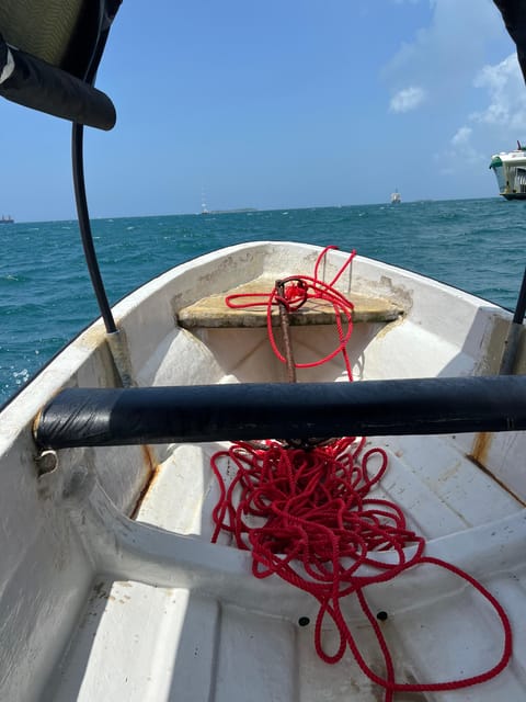 Zanzibar: Full - Day Spice Farm, Stone Town and Prison Island Tortoise Private Tour