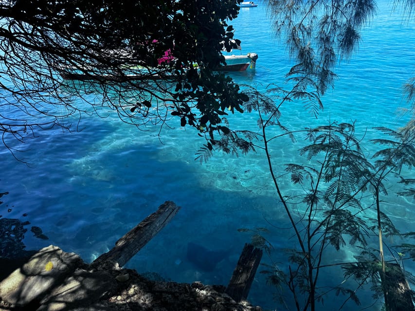 Zanzibar: Full - Day Spice Farm, Stone Town and Prison Island Tortoise Private Tour