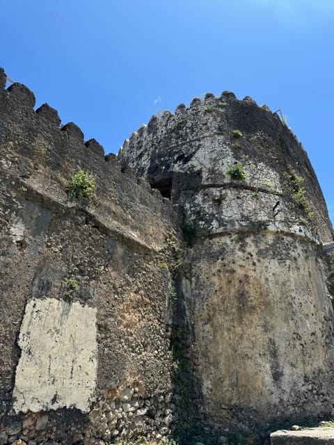 Zanzibar: Full - Day Spice Farm, Stone Town and Prison Island Tortoise Private Tour
