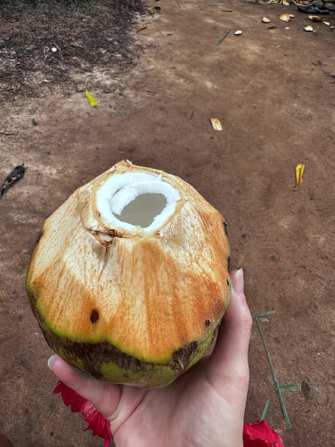 Zanzibar: Full - Day Spice Farm, Stone Town and Prison Island Tortoise Private Tour