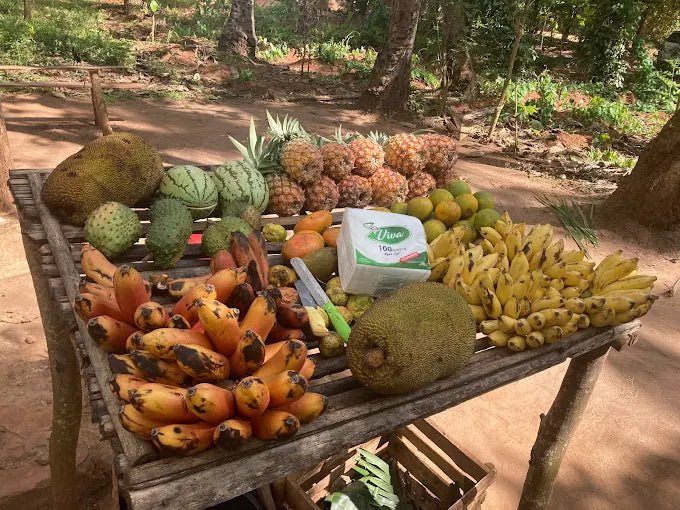 Zanzibar: Full - Day Stone Town, Spice Farm, and Prison Island Private Tour
