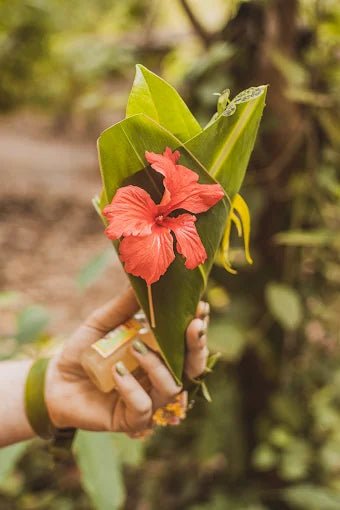 Zanzibar: Full - Day Stone Town, Spice Farm, and Prison Island Private Tour