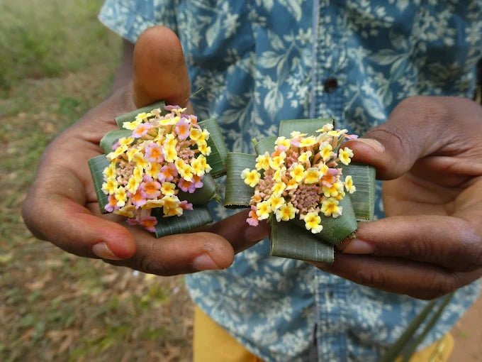 Zanzibar: Full - Day Stone Town, Spice Farm, and Prison Island Private Tour