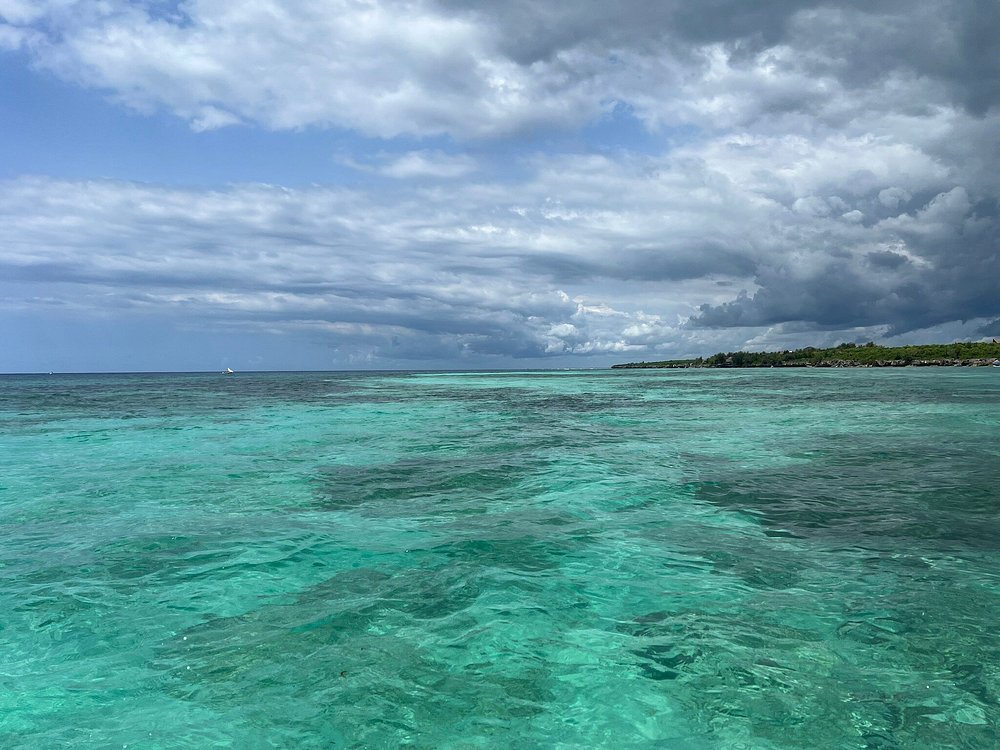 Zanzibar: Full Day Tour to Mnemba Island, Jozani Forest, Kuza Cave, Paje Beach and The Rock