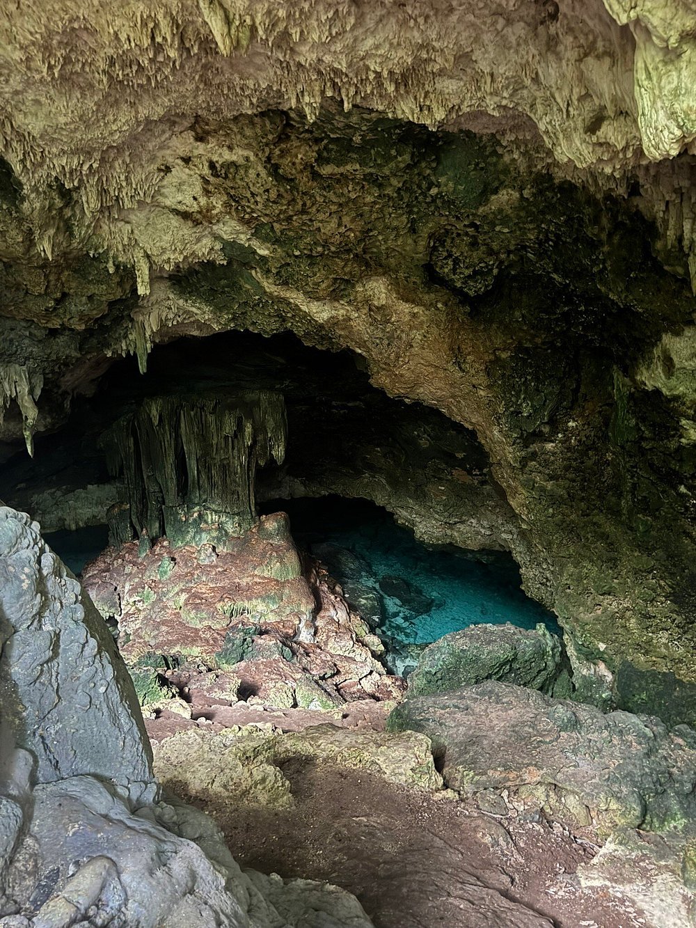 Zanzibar: Full Day Tour to Mnemba Island, Jozani Forest, Kuza Cave, Paje Beach and The Rock