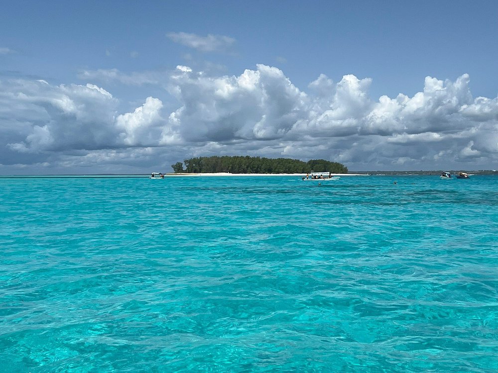 Zanzibar: Full Day Tour to Mnemba Island, Jozani Forest, Kuza Cave, Paje Beach and The Rock