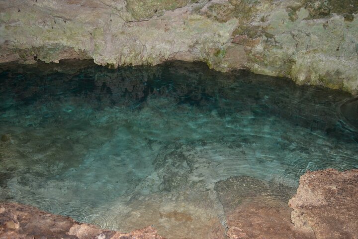 Zanzibar: Full Day Tour to Mnemba Island, Jozani Forest, Kuza Cave, Paje Beach and The Rock