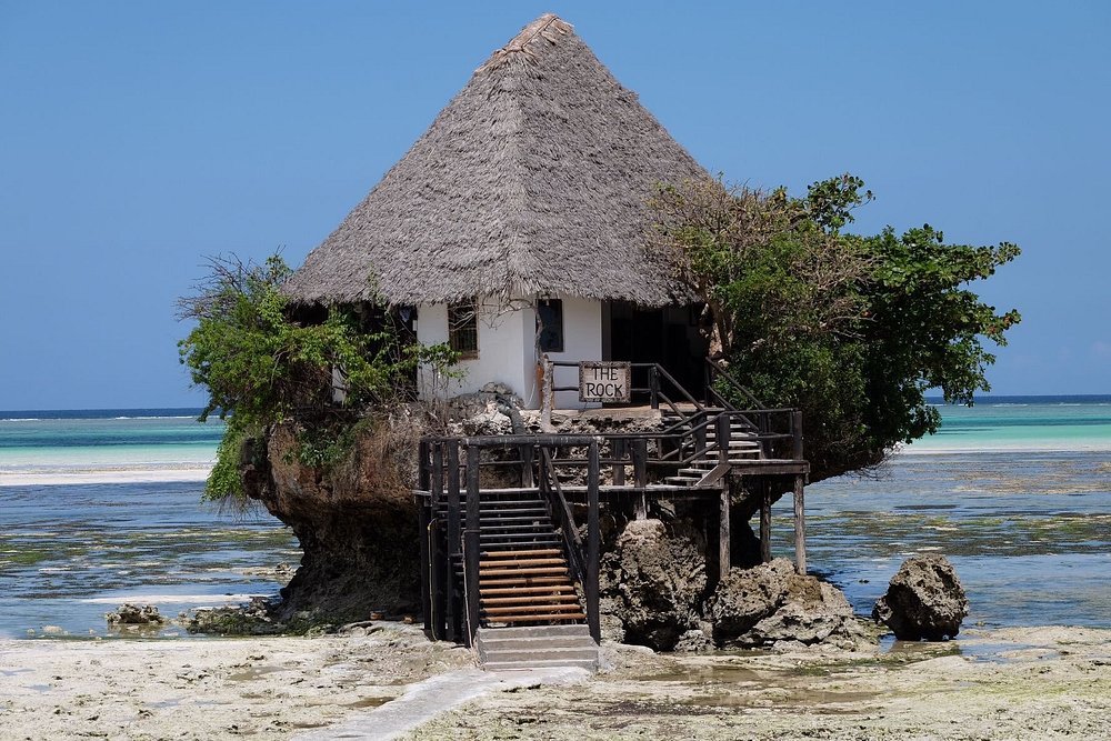 Zanzibar: Full Day Tour to Mnemba Island, Jozani Forest, Kuza Cave, Paje Beach and The Rock