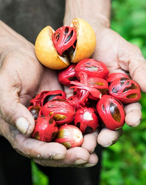 Zanzibar: Full - Day Tour to Spice Farm, Stone Town and Prison Island with Lunch